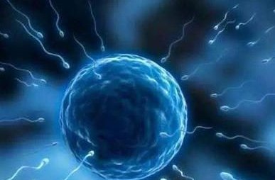 试管婴儿超长方案详细流程？试管婴儿对女人身体伤害大吗？