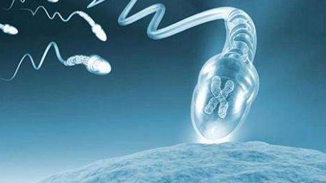 试管婴儿胚胎退化的原因是什么？