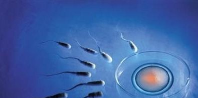 2026河南试管婴儿医院哪家好？河南试管排名前3医院推荐