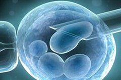 多囊女性螺内酯吃了多久雄激素能降下来？